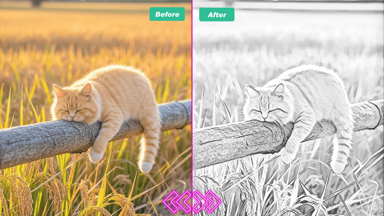 Photo to sketch AI example portrait one